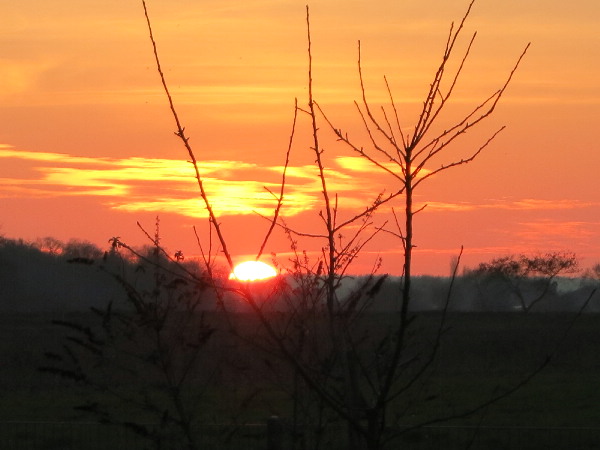 Ferienhaus Ganscha an der Nordsee - im Herzen Ostfrieslands