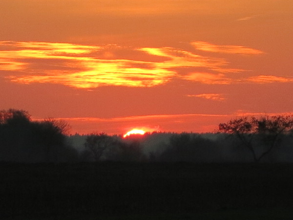 Ferienhaus Ganscha an der Nordsee - im Herzen Ostfrieslands